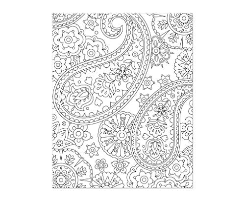 Color & Frame - In the Garden (Adult Coloring Book) New Seasons