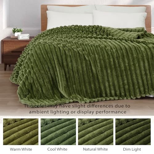 Exclusivo Mezcla Twin Size Flannel Fleece Blanket, Super Soft Striped Jacquard Bed Blanket, Lightweight Fuzzy Cozy for All Seasons, 60x80 Inches, Olive Green Exclusivo Mezcla