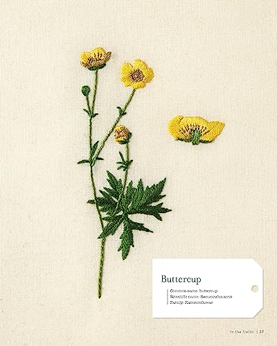 Embroidering Plants and Flowers for Beginners: 33 Plants to Stitch (Landauer) Ready-to-Use Embroidery Patterns Inspired by Nature, with Diagrams, Photos, a Stitch Guide, and Thread Suggestions Fox Chapel Publishing