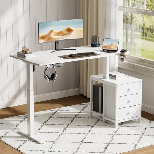 REAHOME Electric Standing Desk with Drawers, 55 x 24 Inches Height Adjustable Sit Stand Desk with Storage, 3 Memory Preset Home Office Computer Desk, Printer Cabinet, 2 Hooks, Cable Management, White REAHOME