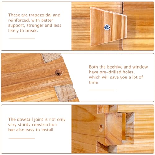 BeeCastle 10-Frame Langstroth Beehive with Windows, Beeswaxed Coated Bee Hive for Beginners with Beehive Frames and Waxed Foundations (2 Deep Bee Boxes & 1 Medium Super Bee Box) BeeCastle