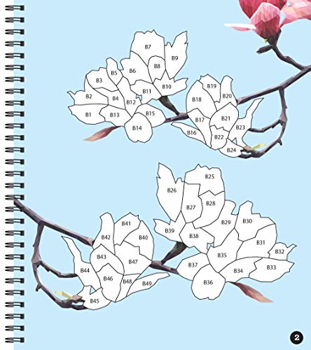 Brain Games - Sticker by Number: Country Garden Publications International, Ltd.