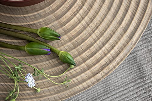 COZAYH 2-Piece Modern Farmhouse Living Room Coffee Table Set, Nesting Table Round Natural Finish with Handcrafted Wood Ring Motif, Wood Colour COZAYH