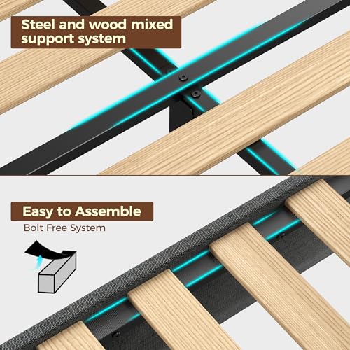 Rolanstar Queen Size Bed Frame, Storage Headboard with Charging Station and LED Lights, Upholstered Bed with Heavy Duty Wood Slats, No Box Spring Needed, Noise Free, Easy Assembly, Dark Grey Rolanstar