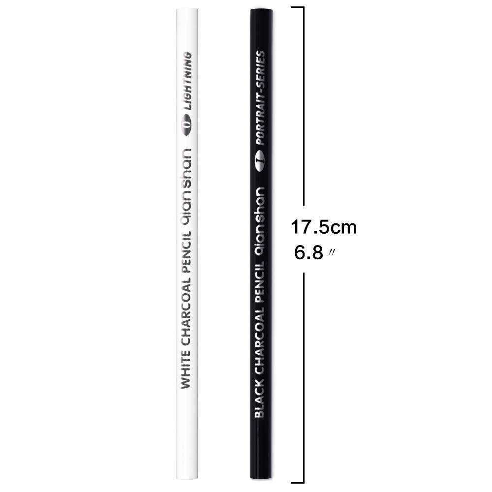 qianshan 2 Pcs Black White Color Charcoal Pencils, Professional Hight Quality Sketch Highlight Charcoal Wooden Pencils for Artist Drawing, Sketching, Blending, 2 Colors of 1 Black, 1White qianshan