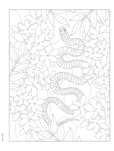 Creative Haven Forest & Woodland Wildlife Coloring Book (Adult Coloring Books: Animals) WoodArtSupply