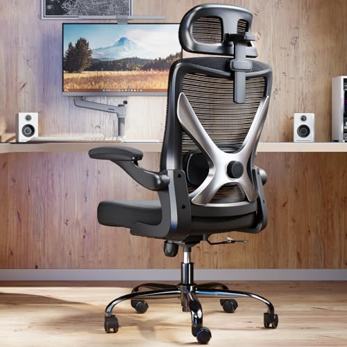 Ergalithic Ergonomic Office Chair - X-Shaped Computer Desk Chair Comfy, Gaming Chair, Office Chair with Lumbar Support, Mesh Office Chairs with Headrests, Desk Chair for Long Hours (Black Silver) Ergalithic