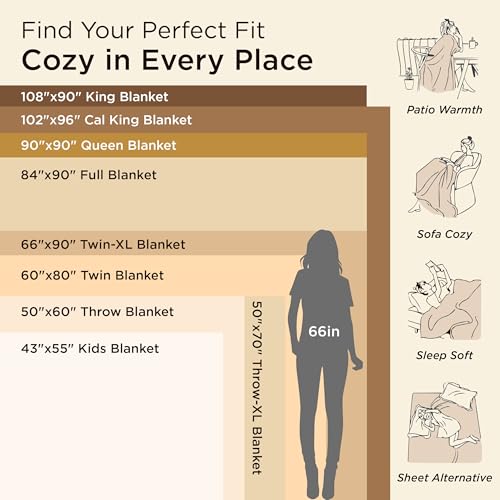 Bedsure GentleSoft Fleece Blanket Twin Size Grey - 300GSM Lightweight Plush Fuzzy Cozy Soft Warm Blanket for Bed, Sofa, Couch, Travel, Camping, 60x80 inches Bedsure