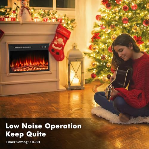 BOSSIN 23 inch Electric Fireplace Insert with Stove Heater for TV Stand,LED Realistic Flame,Recessed Mounted Fireplace Heater with Remote Control,Fireplace with Adjustable Flame, Timer 750/1500W BOSSIN