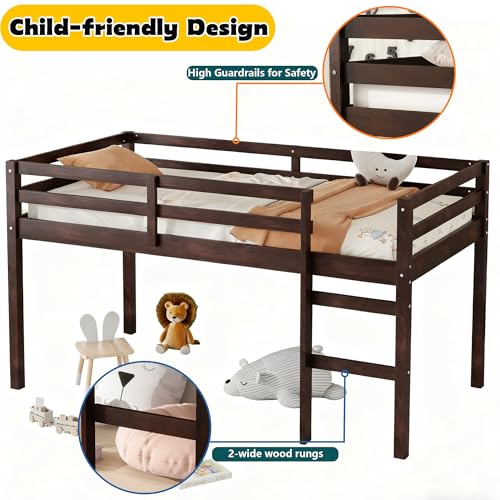 Mirightone Low Loft Bed Twin Size, Wood Junior Loft Bed Frame with Ladder for Kids Girls Boys Teens, Solid Rubberwood, Espresso Mirightone