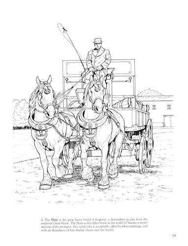 Big Book of Horses to Color (Dover Animal Coloring Books) Dover Publications