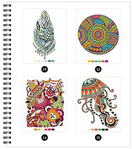 Brain Games - Color by Number: Stress-Free Coloring (Pink) Publications International, Ltd.