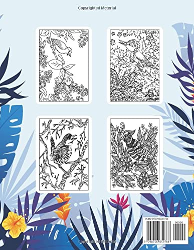 Song Birds Coloring Book: An Song Birds Coloring Books with Beautiful Songbirds Exquisite Relaxing Nature Scenes Majosta