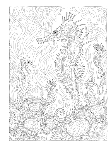 Creative Haven Fanciful Sea Life Coloring Book: Relaxing Illustrations for Adult Colorists (Adult Coloring Books: Sea Life) Dover Publications