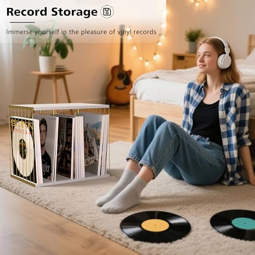 Emfogo Vinyl Record Storage, Metal & Wooden Vinyl Record Holder Up to 80 Album, 3-Compartment Record Player Stand for Magazine, Book, Files, Albums (White) Emfogo