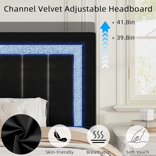 Queen Size Bed Frame with LED Lights and Velvet Upholstered Headboard, Bed Frame Queen Size with Modern Diamond Headboard Adjustable, Wooden Slats Support, Noise Free, No Box Spring Needed, Black HOMBCK
