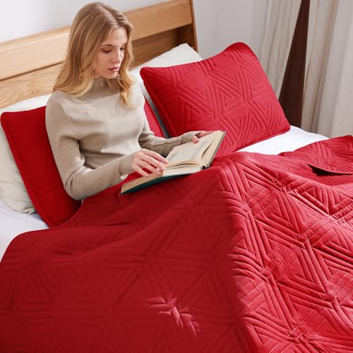 Whale Flotilla Soft Twin Size Quilt Set for All Seasons, 2-Piece Ultrasonic Geometric Quilts Bedding Set, Lightweight Reversible Bedspread, Coverlet, Bed Cover with Pillow Sham, Red Whale Flotilla