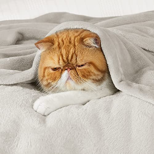 Bedsure GentleSoft Twin XL Fleece Blanket Dorm Bedding - Lightweight Soft Cozy Blankets for Bed, Sofa, Couch, Travel, Camping, Linen, 66"x90" Bedsure