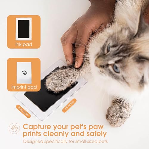 Pearhead Paw Print Clean Touch Ink Pad Kit for Dogs and Cats, Pet Owner Keepsake, DIY Inkless Paw and Nose Print Impression Set, Small/Medium