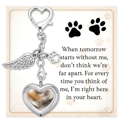 Japrex Pet Hair Keepsake, Pet Fur Memorial Keepsake with Angel Wing Paw Print Charm, Heart Glass Memory Locket for Dog Cat Fur, Pet Loss Remembrance Gift for Pet Lovers