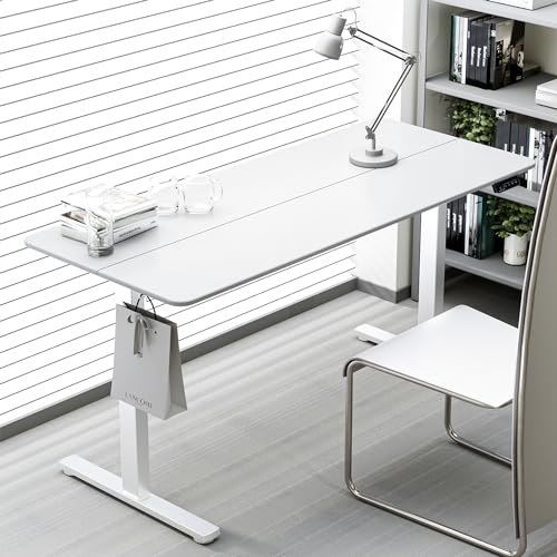ERGOMAKER 43" Electric Standing Desk, Adjustable Height, Sit Stand Up Desk for Home Office & Computer Workstations, Memory Controller, White ERGOMAKER