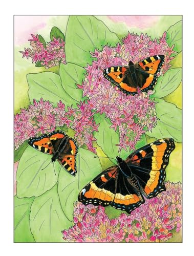 Creative Haven Butterfly Gardens Coloring Book; A Journey through Nature For Stress Relief and Relaxation (Adult Coloring Books: Insects) Dover Publications