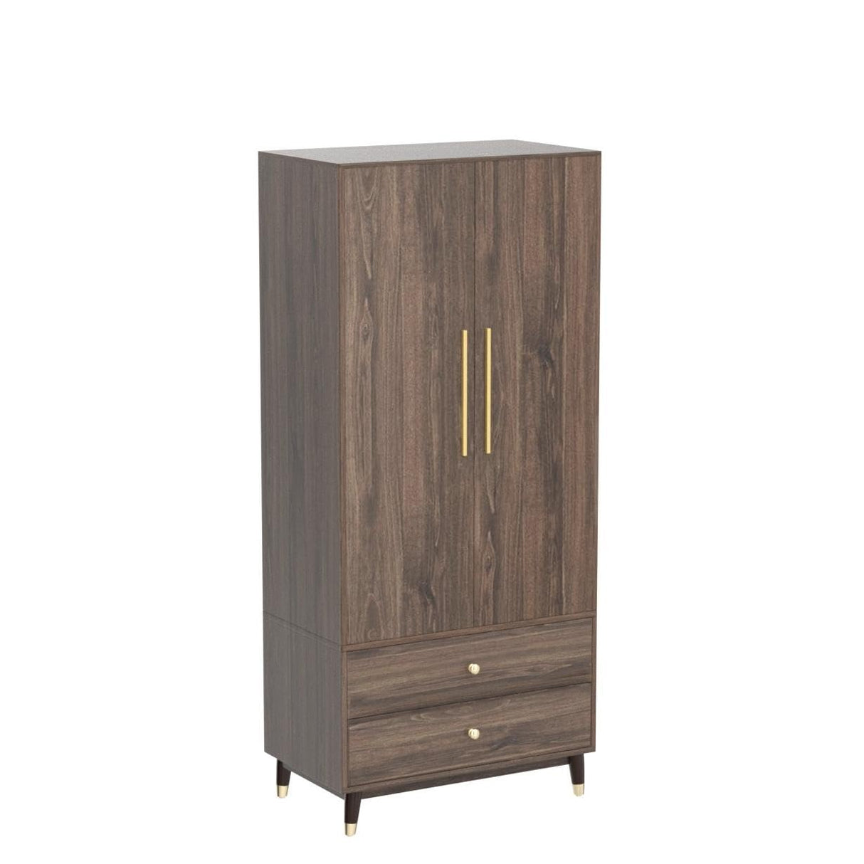 Hitow Wardrobe Armoire Closet with 2 Doors, Wardrobe Cabinet with 2 Drawers & Hanging Rod, Bedroom Armoire Clothes Organizer with Gold Handles, Type B Brown (31.5" W x 19.1" D x 65.1" H) Hitow