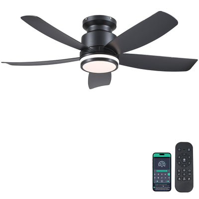 Modern Ceiling Fans with Lights and Remote/APP Control, 41 inch Flush Mount Ceiling Fan with Ring Lights, LED 3 CCT Dimmable 5 Reversible Curved Blades 6 Speeds for Bedroom Living Room, Black