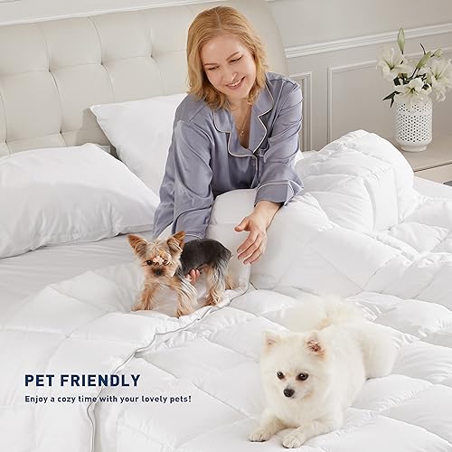 sunflower Comforter Queen Size White Down Alternative Filling 100% Cotton Shell Lightweight Bedding Queen Comforter Blanket for Summer with Corner Tabs Soft Breathable Machine Washable sunflower