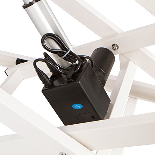 Flying Pig Heavy Duty Super-Low Electric Lift Dog Grooming Table Flying Pig Grooming