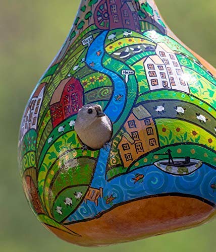 Gourd Birdhouse, Unfinished, Craft Ready, Box of 3 Gourdaments