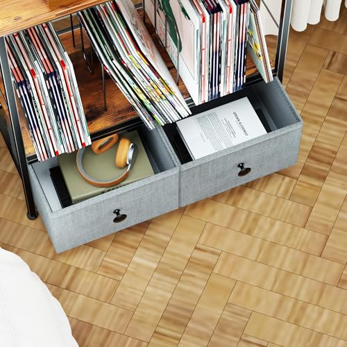 DALEMHOME Record Player Stand with Vinyl Storage, 2-Tier Record Shelf Table with Fabric Drawer, Holds Up to 110 Vinyl Records, Record Player Table for Turntable and Albums, 23.62"D × 11.81" W× 25.59"H DALEMHOME