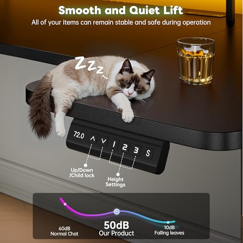 EnHomee 71 Inch Standing Desk Adjustable Electric with Monitor Stand, Computer Desk with Power Strip, Memory Height Home Office Desk for Home and Study Room, Black EnHomee