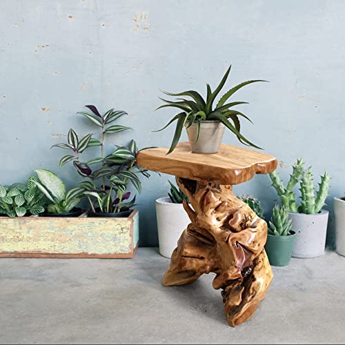Warmaxx Natural Irregular Shape Tree Stump End Table Plant Stand 14"x13"x18"H Solid Cedar Wood Outdoor Rustic Sit Foot Stools Live Edge Coffee Side Table Living Room Bedroom Outdoor Garden Warmaxx