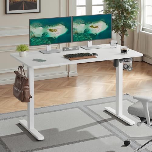 Casaphoria 48 x 24 inches Electric Standing Desk, Sit to Stand Desk with Memory Height Adjustment, Home Office Computer Desk for Writing and Games, White Casaphoria