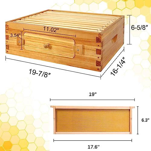 BeeCastle 10 Frame Medium Bee Hive Box, Langstroth Beehive Box Beeswaxed Coated Complete Medium Honey Bee Hive Bee Box with Beehive Frames and Beeswaxed Foundations(Unassembled) BeeCastle
