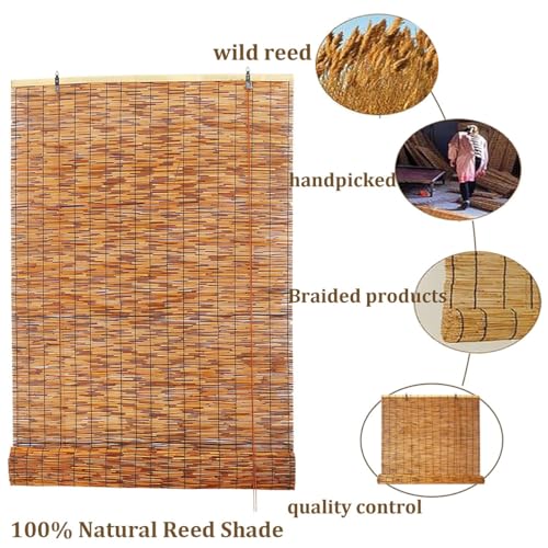 Bamboo Roman Window Blinds Sun Shades, UV Resistant Outdoor Home Roller Shades, Patio Blinds Roll Up Waterproof Curtains Privacy Partition With Lifter, Cordless 31x72in 40x48in 50x83in ( Size : 76"W x WoodArtSupply