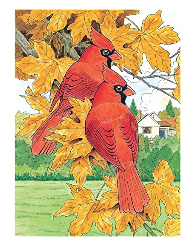 Creative Haven Glorious Songbirds Coloring Book (Adult Coloring Books: Animals) WoodArtSupply