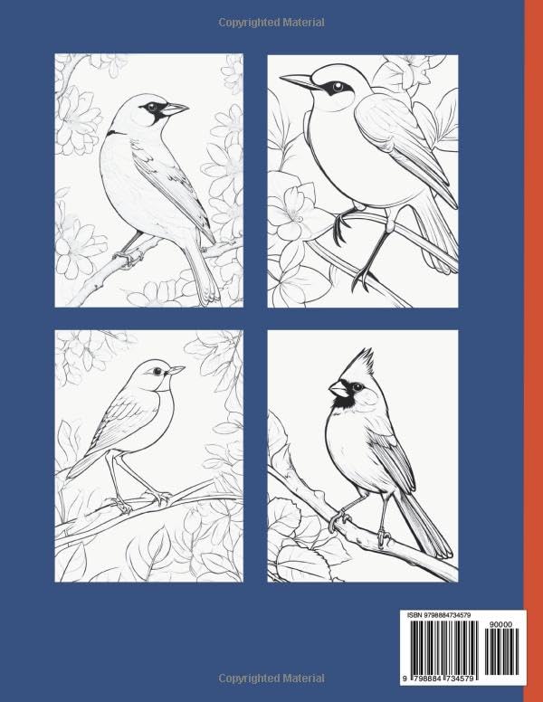 Songbirds Coloring Book Majosta