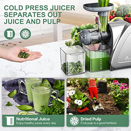 Cold Press Juicer, Aobosi Slow Masticating Juicer Machines with Reverse Function, Quiet Motor, High Juice Yield with Juice Jug & Brush for Cleaning, Gray AAOBOSI