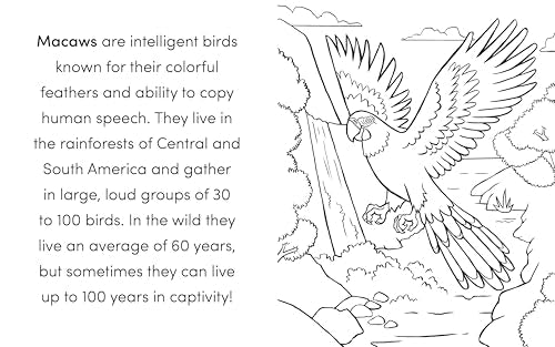 Bird Book for Kids: Coloring Fun and Awesome Facts (A Did You Know? Coloring Book) WoodArtSupply