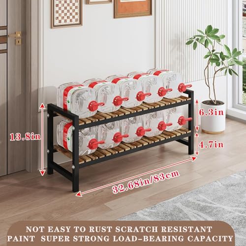 Shoe Rack Organizer for Small Spaces 2Tier Long Narrow Shoe Stand, Closet Shoe Rack, Small Shoe Shelf for Closet Entryway Corner Garage and Bedroom Front Door - Shoe Storage Combining Wood and Metal ZHUTIANXIA