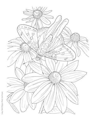 Creative Haven Butterfly Gardens Coloring Book; A Journey through Nature For Stress Relief and Relaxation (Adult Coloring Books: Insects) Dover Publications