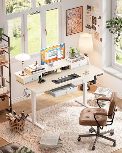 ErGear Electric Standing Desk with 4 Drawers, Height Adjustable Desk with Storage, C-Clamp Mount Compatible, Computer Home Office Table with Cable Management Tray ErGear