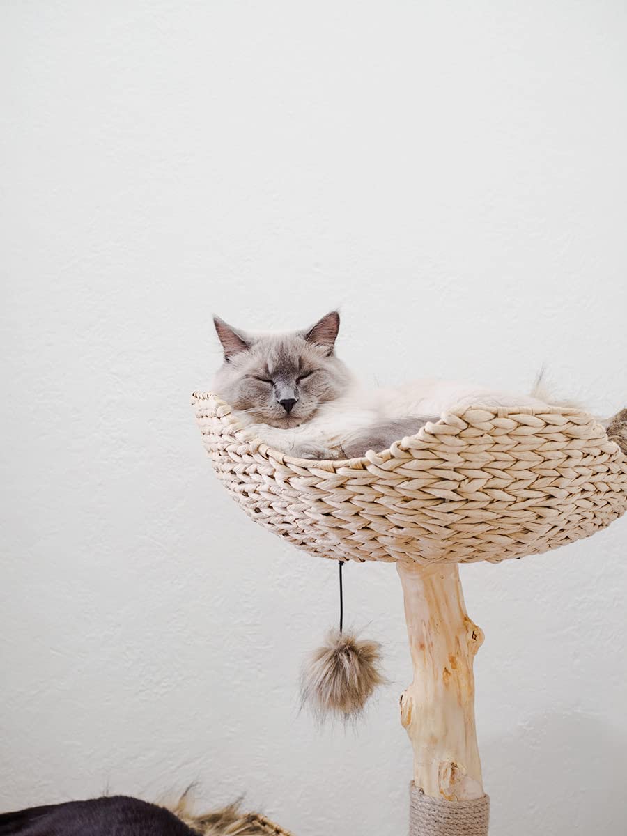 MAU Modern Cat Tree Tower for Large Cats, Real Branch Luxury Wood Cat Tower, Cat Scratching Tree, Cat Condo, Cat Lover Gift, by Mau Lifestyle Mau Lifestyle