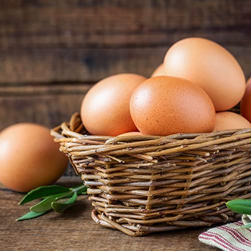 6 PCS Fake Eggs Easter Eggs for Craft Nest Eggs Brown Wooden Eggs for Laying Chickens YunKo