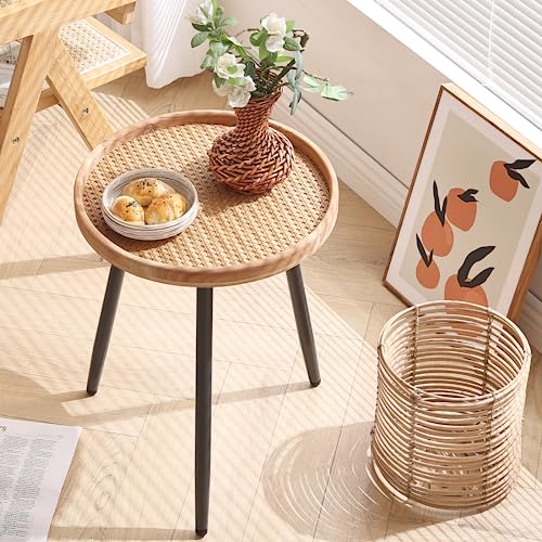 LITA Rattan Log Desktop Round Side End Table, Nightstand/Small Tables, Indoor Outdoor Wooden Tray Table with Metal Stand End Table for Living Room Bedroom Office Small Spaces LITA