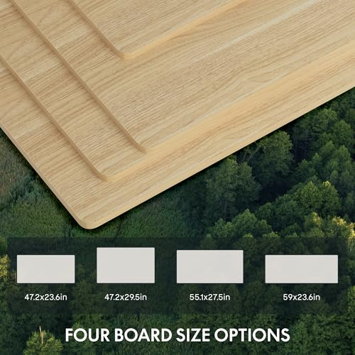 FLEXISPOT E6 3-Stage Dual Motor Electric Standing Desk 55 x 28 Sit Stand Up Desk, Holds 220 lbs, Adjustable Height w/Memory Presets, One-Piece Maple Desktop & Black Frame, Ships in 2 Boxes FLEXISPOT