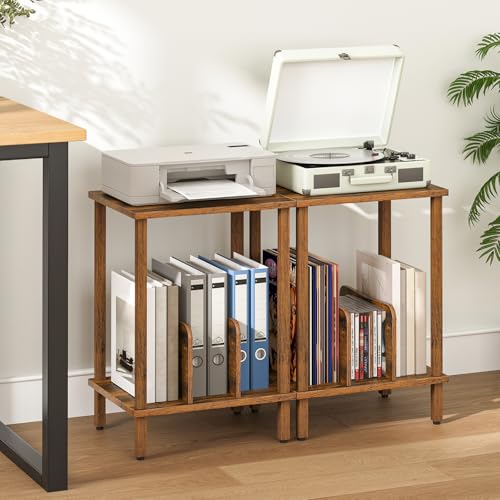 HOOBRO Small End Table, 2-Tier Record Player Stand Vinyl Record Turntable Stand with Storage up to 100 Albums, Small Side Table for Living Room, Bedroom Rustic Brown, FG05RS01 HOOBRO