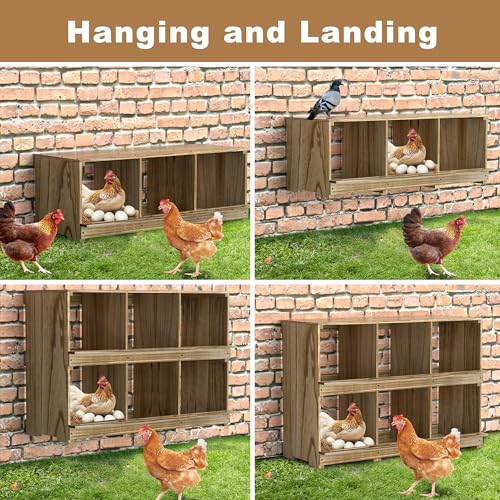 Nesting Boxes for Chickens Coop, Wooden Hens Nesting Eggs Laying Box, Chicken Nesting Boxes Wall-Mounted 6 Compartment WISDOMRAINBOW
